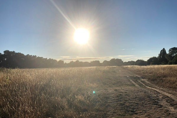 Running in the Heat