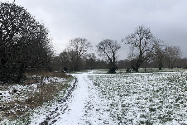 Tips for running in the cold