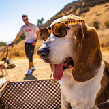 Goodr Sunglasses - Bosley's Basset Hound