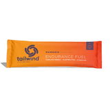 Tailwind Endurance Fuel - Mandarin